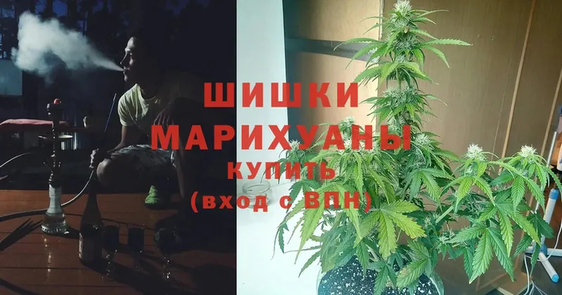 купить наркотик  Иннополис  Шишки марихуана SATIVA & INDICA 